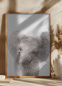 Peekaboo Baby Elephant Poster
