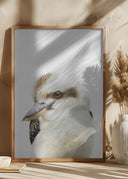 Peekaboo Kookaburra Poster