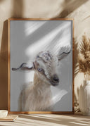 Peekaboo Baby Goat Poster