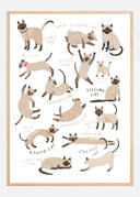 Siamese Cat Print Poster