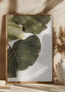 Abutifolia No1 Poster