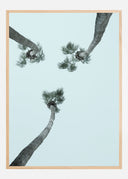 My Mint Moment Poster