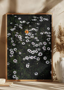 Namaqua Poster