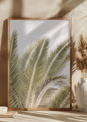 Oasis Palm 01 Oa 01 Poster