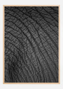 Olifant 03 Poster