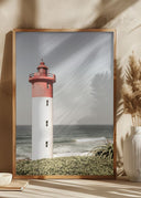 Oyster Box Poster