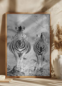 Striped Horse Front On Poster
