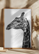 Super Safari No1 Poster