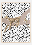 Leopard Sleeping Polkadots Poster