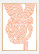 Knots No 2 Poster