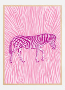 African Zebra striking camouflage Poster