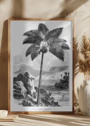 Vintage Palm Tree Drawing I Poster