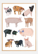 Pigs Glasses Poster