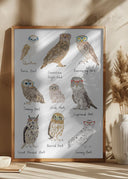 Owls In Glasses Print Poster