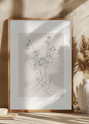 Bellflowers ink drawing Poster