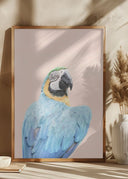 Blue Macaw Poster