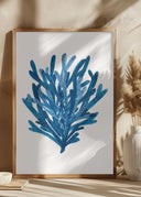 Coral Poster
