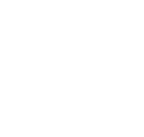 BGA USA