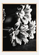 Black and White Flowers Poster 02