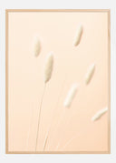 Bunny Grass II Poster