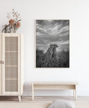 Cheetah Dreams Poster