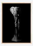 Elephant Poster II