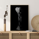 Elephant Poster II