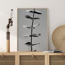 Eucalyptus Bw Poster