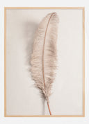 Feather 002 Poster