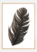 Feather Poster I