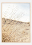 Field Poster II