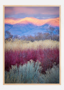 Field Layers Poster