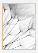 Flowers Poster II