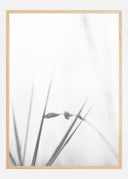 Fog Poster II