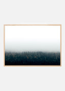 Forests in fog Poster