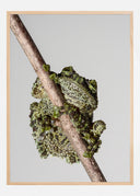 Master of Camouflage Poster