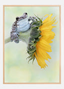 Frog Sunshine Poster