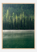 Green Forest Poster