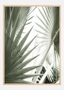 Green Leaves Poster II