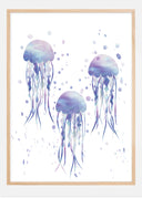 Jellyfishes Poster