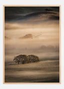 Morning Fog Poster I