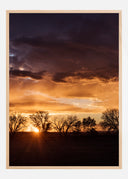 Orange Sky Poster
