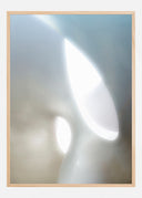 Organic Shapes Poster II