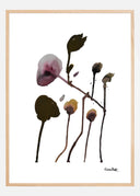 Plants II