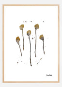 Plants III