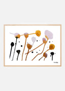 Plants IV