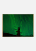 Northern lights Poster II