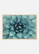 Turquoise Flower Poster