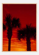 Red Palms Poster