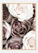 Roses Poster II